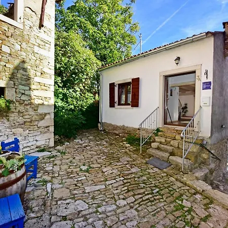 Fragola * Motovun