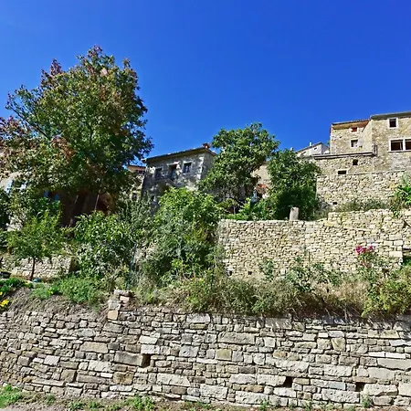 Fragola Motovun