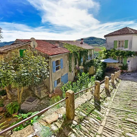 Fragola Motovun