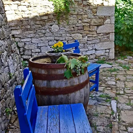 Fragola Motovun